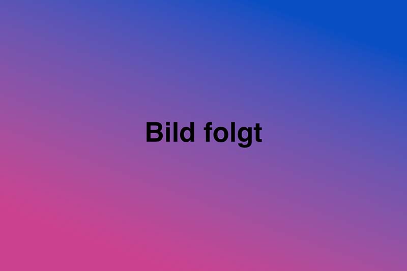 bild folgt
