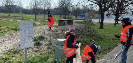 stadtputzete sulzdorf 2