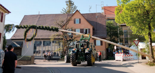 Maibaum Aufstellen Sulzdorf 2026 1