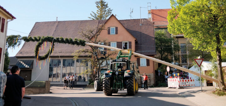 Maibaum Aufstellen Sulzdorf 2026 1